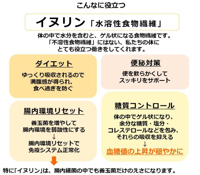イヌリンと難消化性デキストリン 水溶性食物繊維の話 菊芋で便秘予防 免疫力アップ 腸内環境改善なら阿蘇自然の恵み総本舗